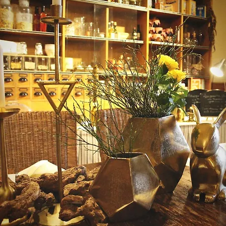 Steinhoff 3* ラインベルク