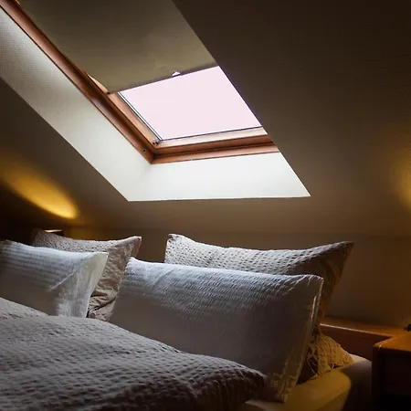 Steinhoff 3* Ράινμπεργκ